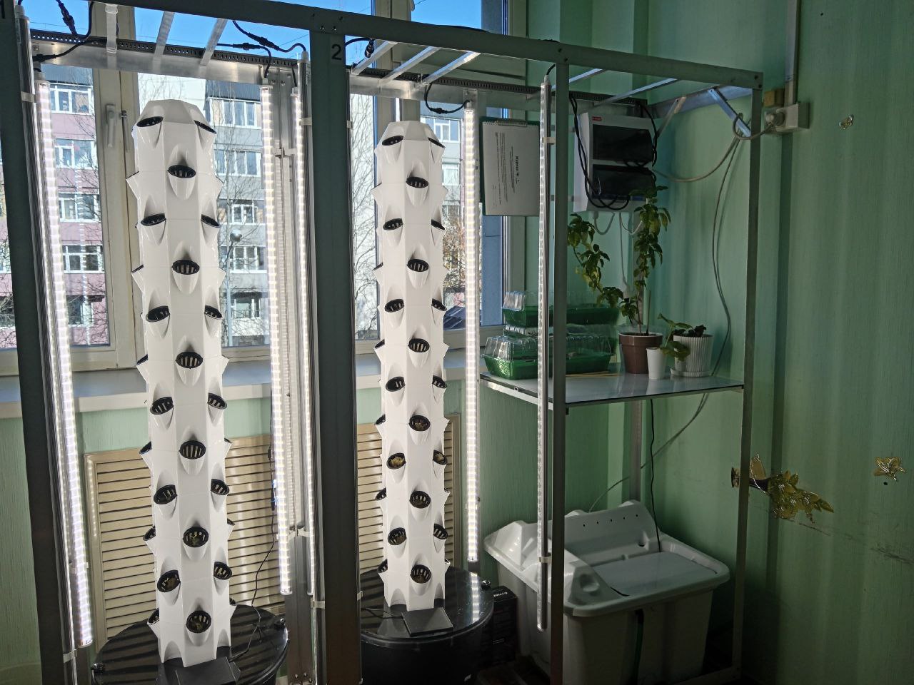 «Школьная малая теплица»